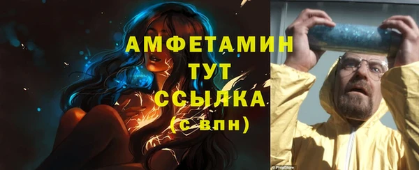 сатива Волосово