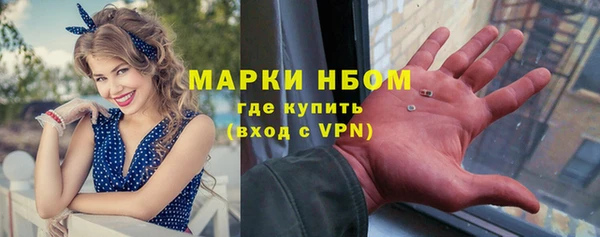 сатива Волосово